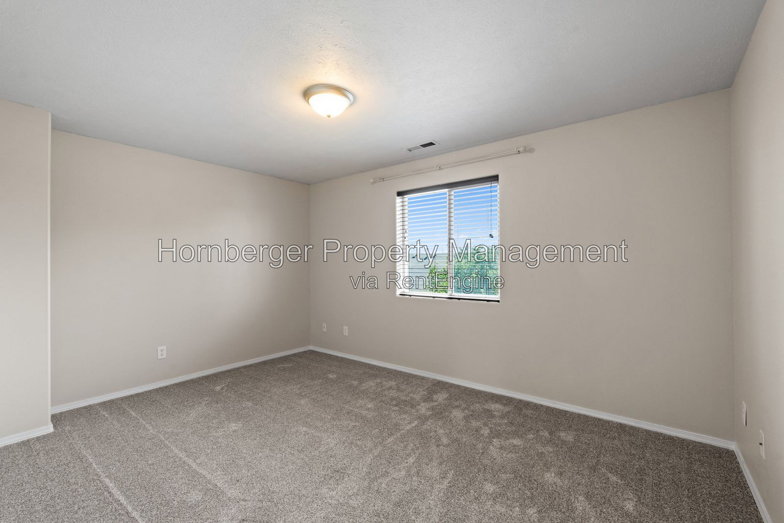 Gallery Image 19