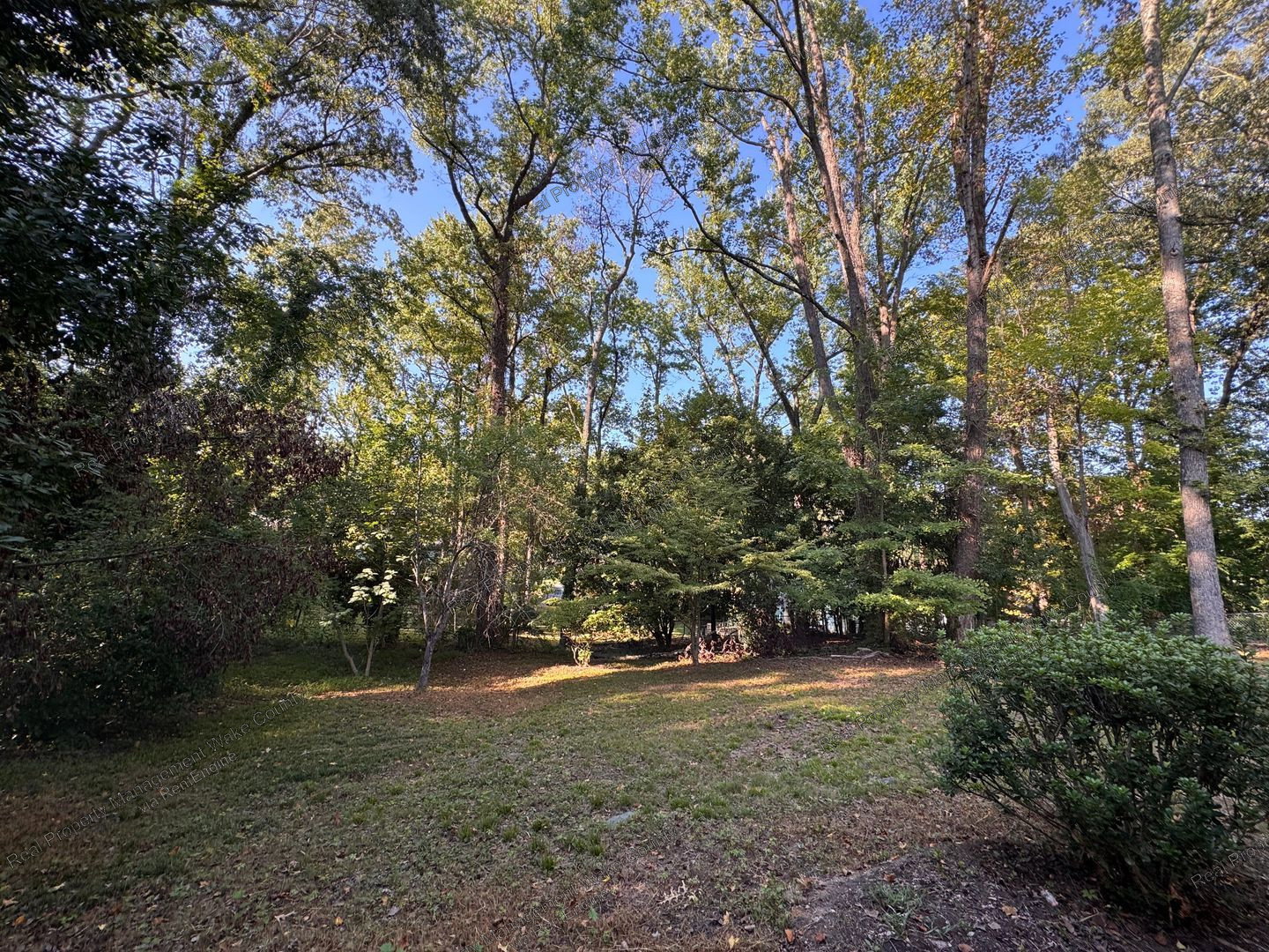 Gallery Image 34