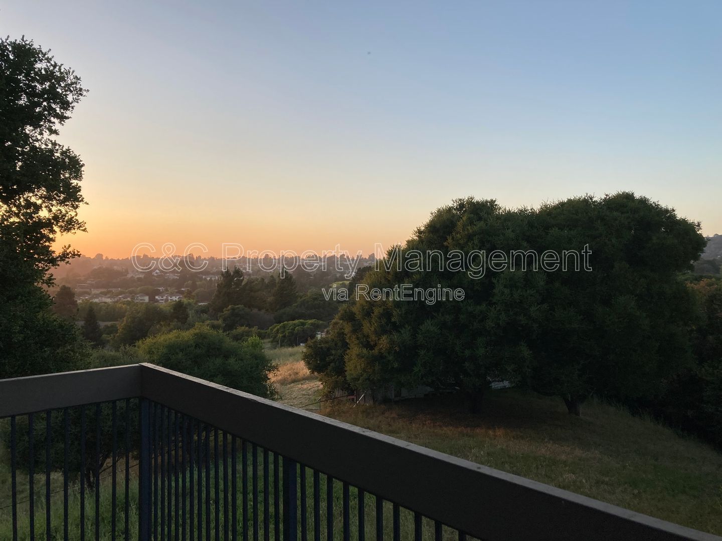 Gallery Image 15