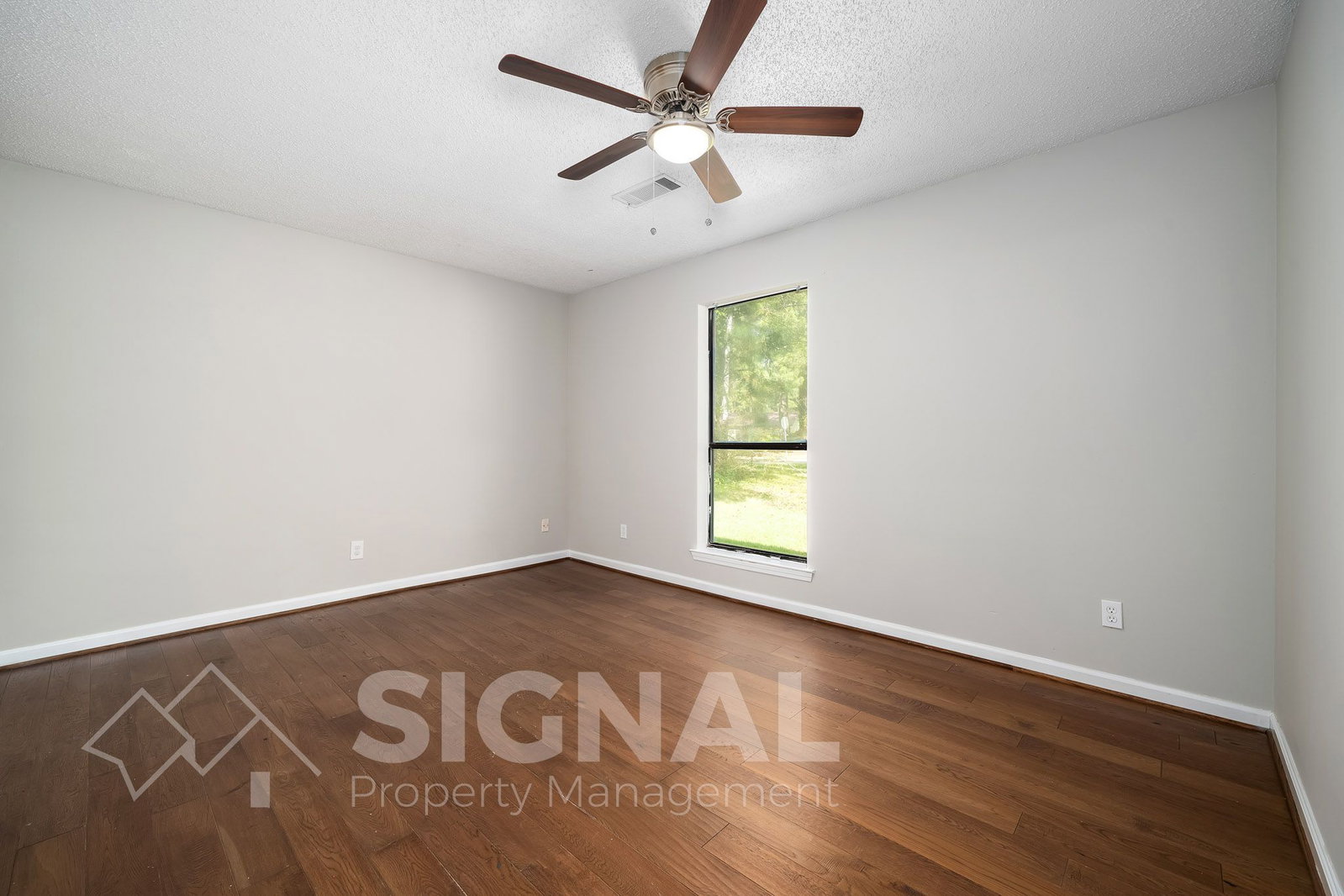 Gallery Image 18