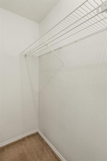 Gallery Image 19