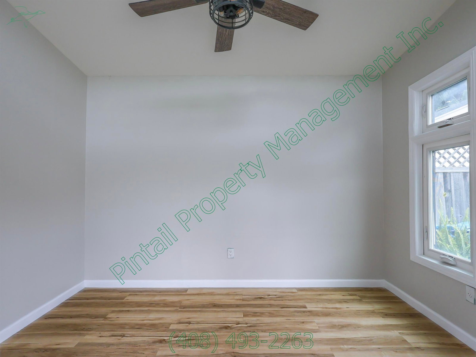 Gallery Image 20