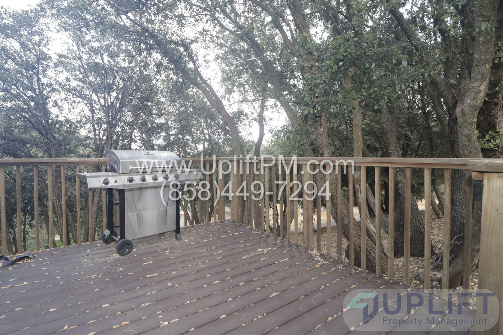 Gallery Image 30