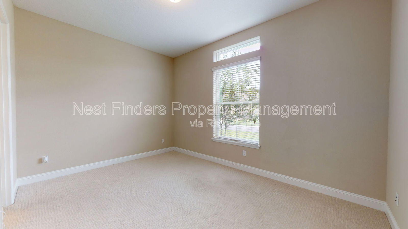 Gallery Image 31