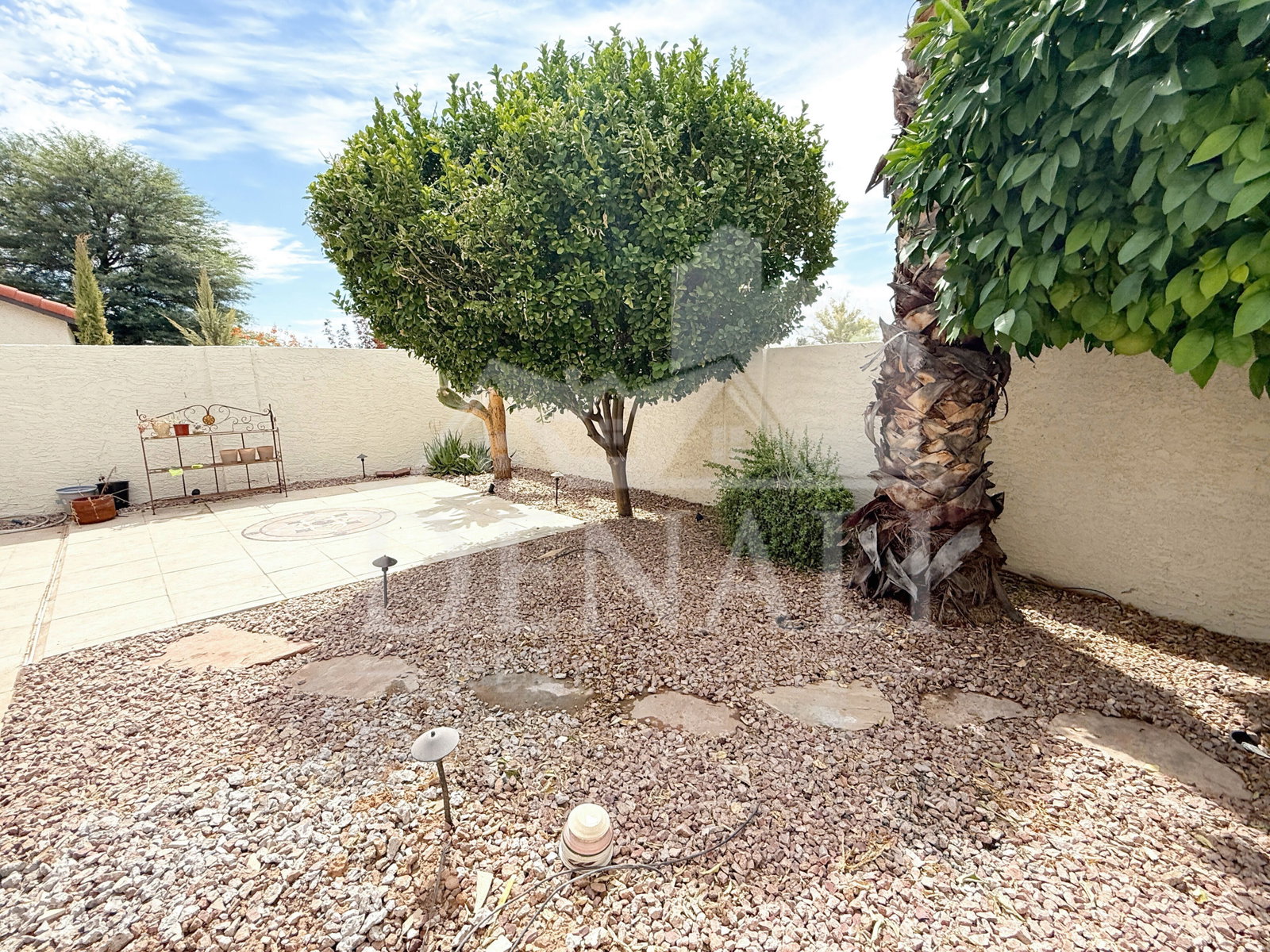 Gallery Image 20