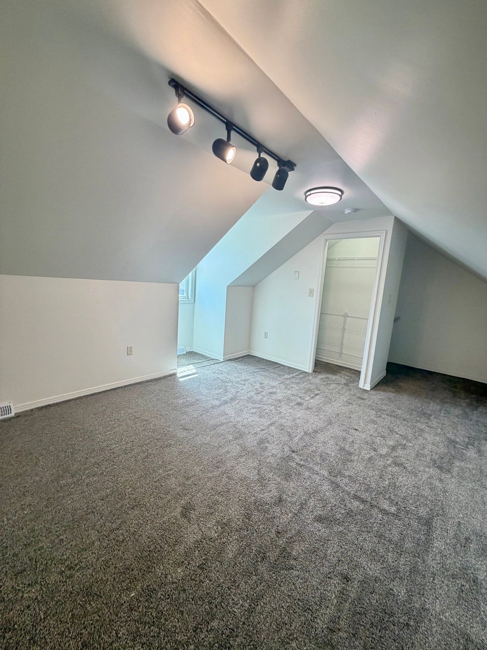Gallery Image 20