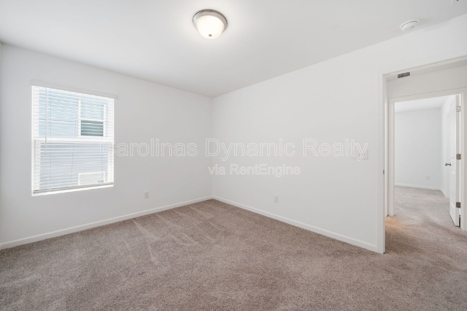 Gallery Image 20