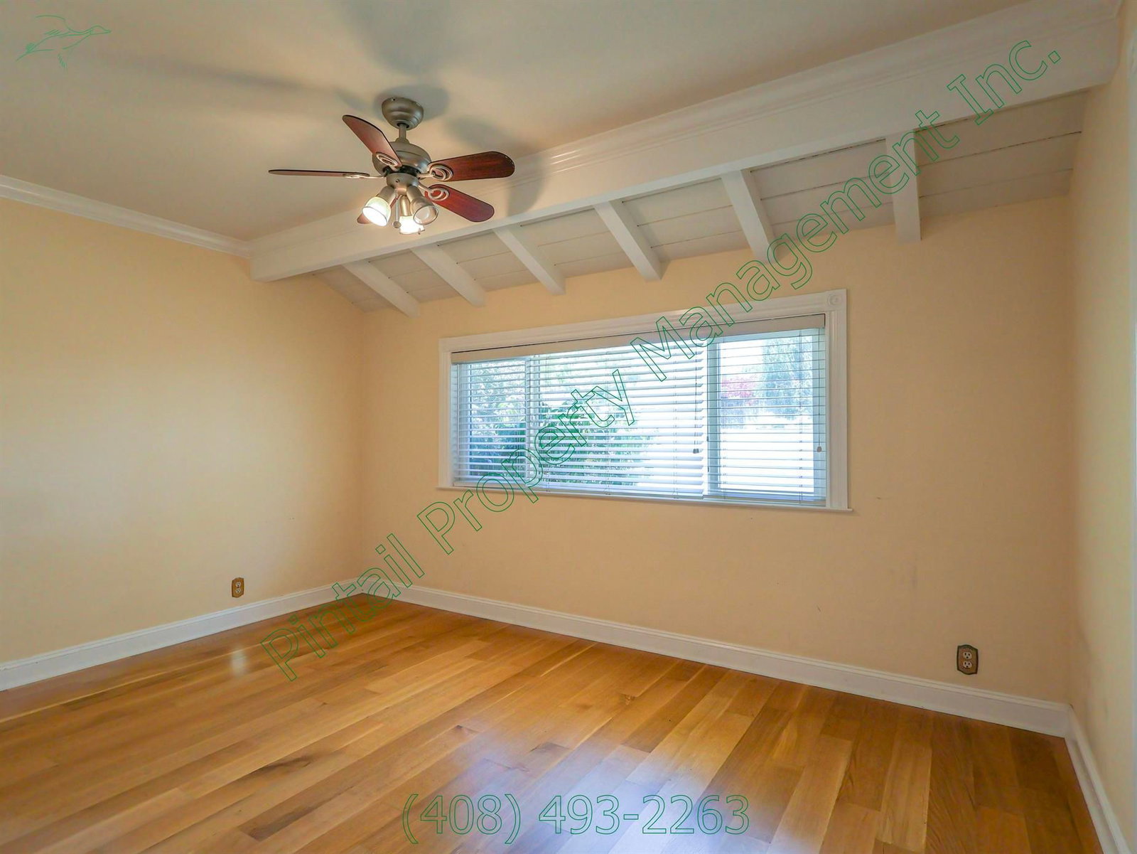 Gallery Image 15