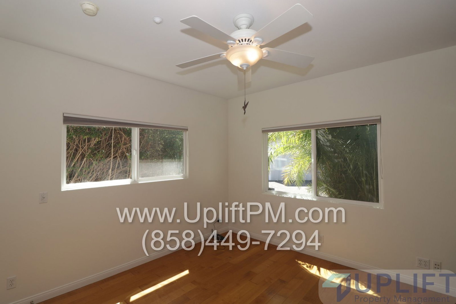 Gallery Image 33