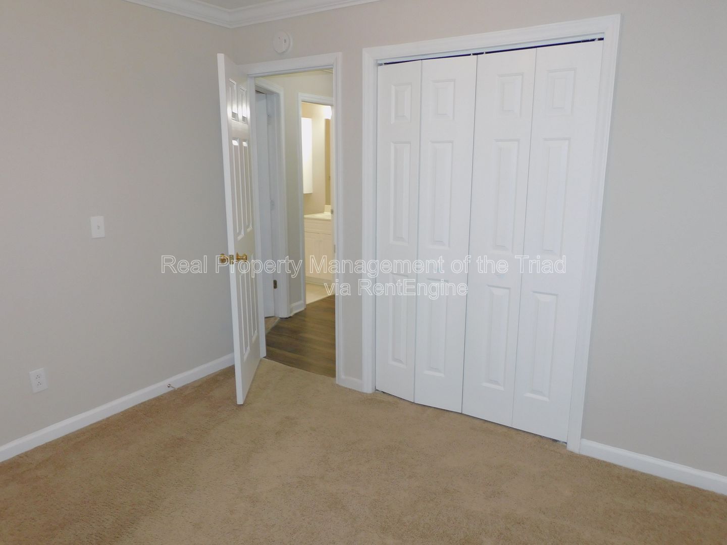 Gallery Image 17