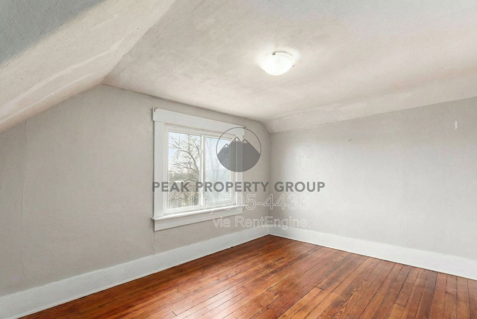 Gallery Image 17