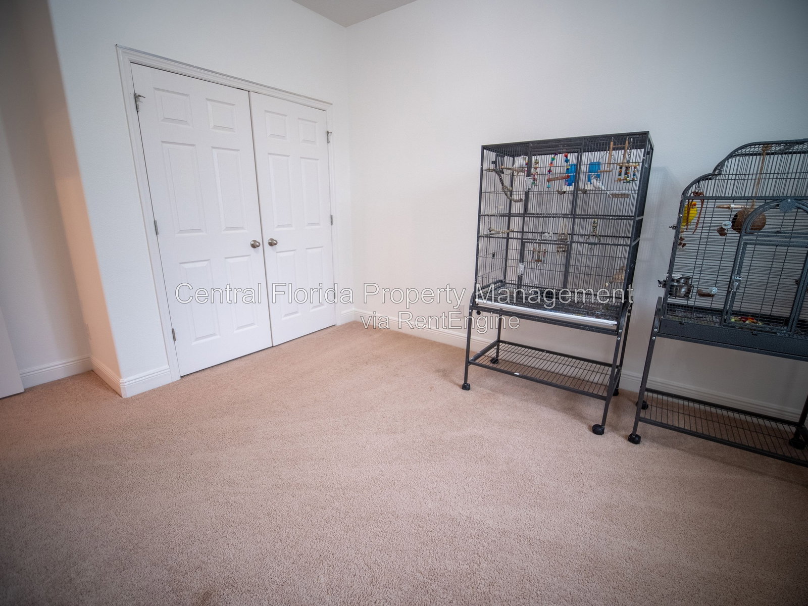 Gallery Image 16