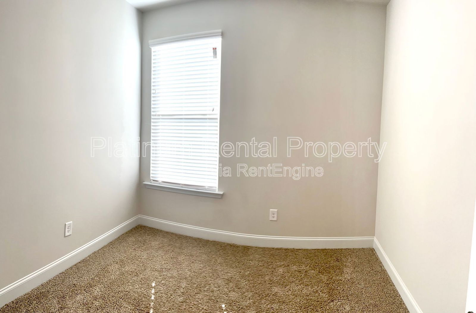 Gallery Image 21