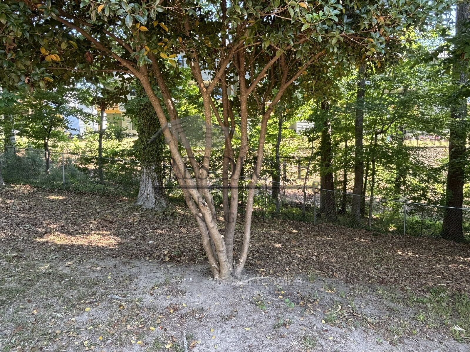 Gallery Image 15