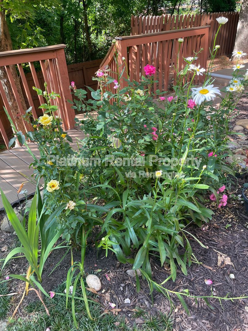 Gallery Image 97