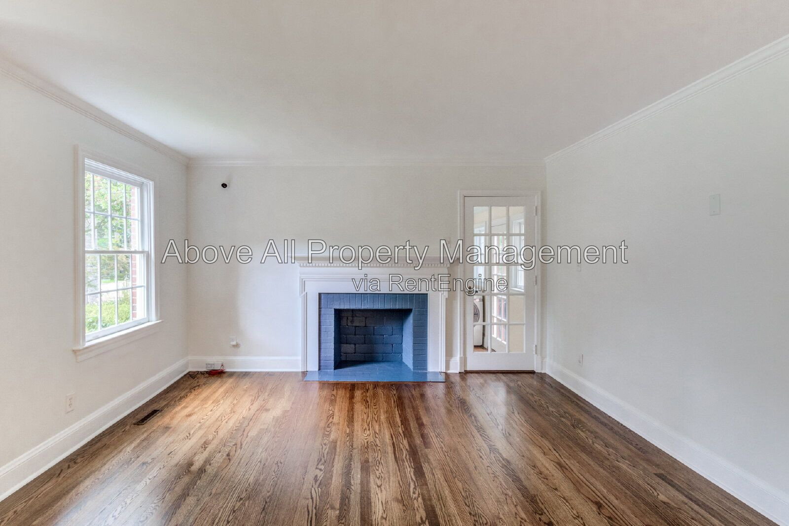 Gallery Image 14