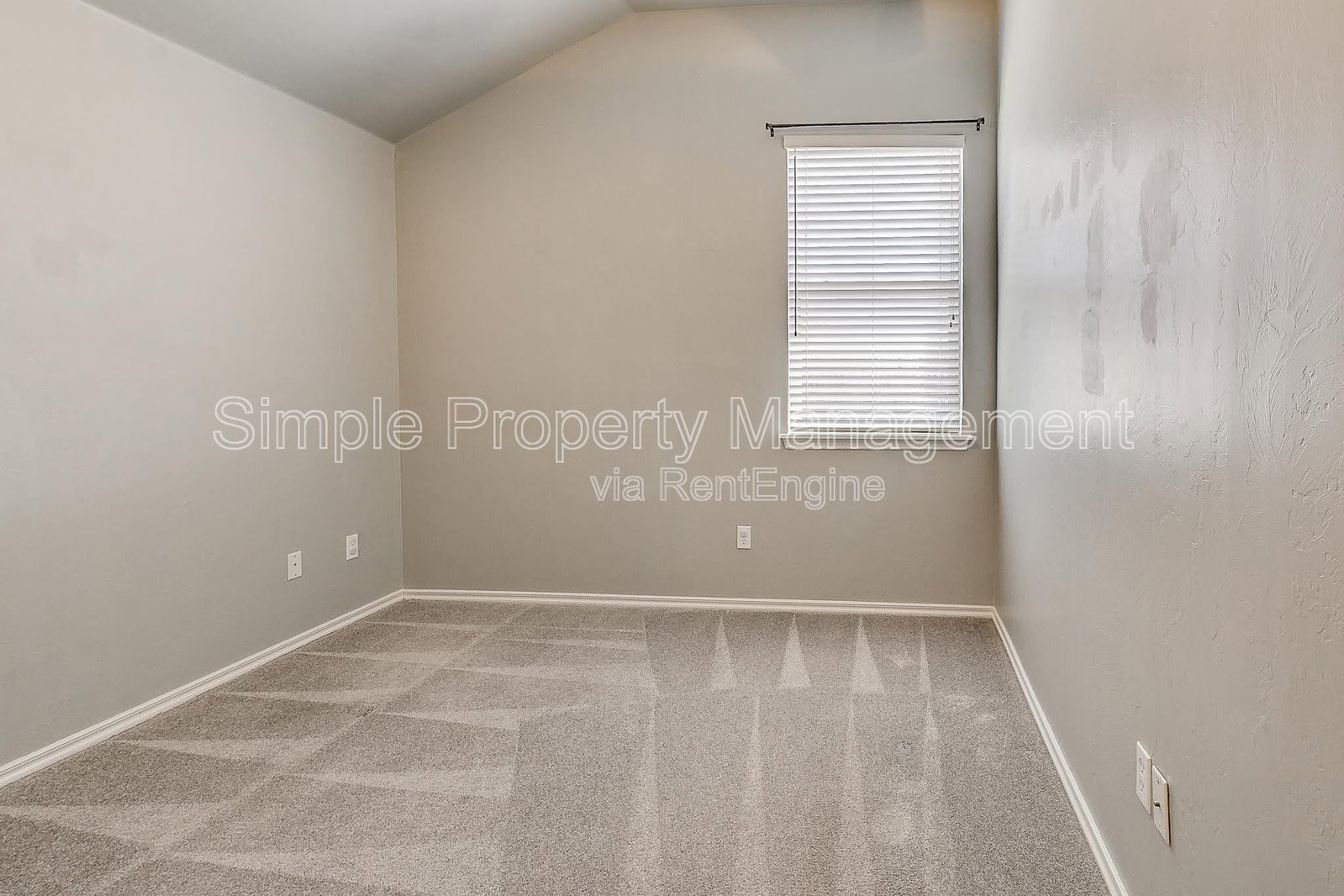 Gallery Image 19