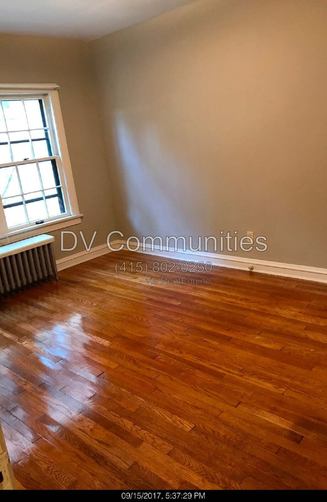 Gallery Image 10