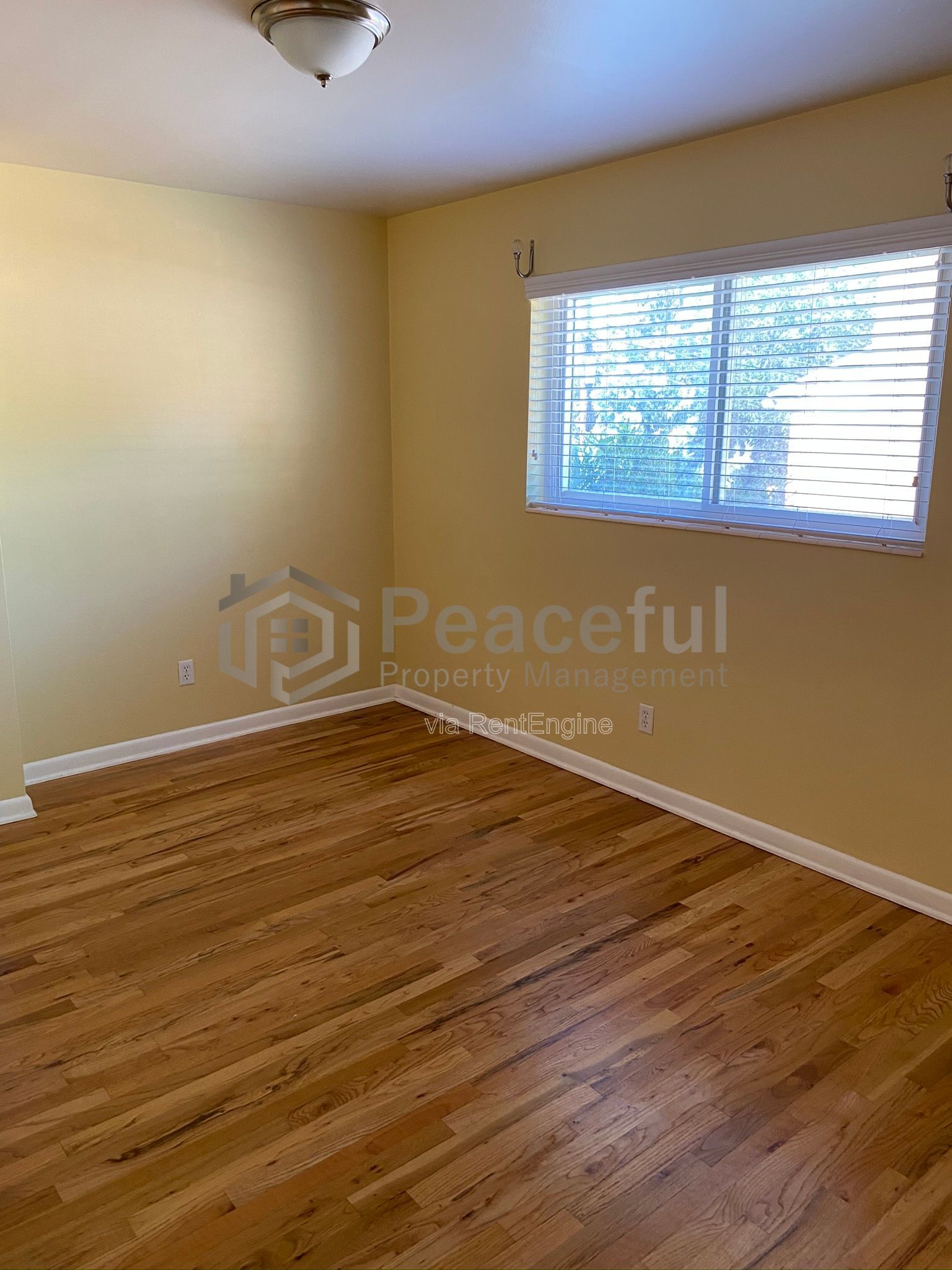 Gallery Image 20