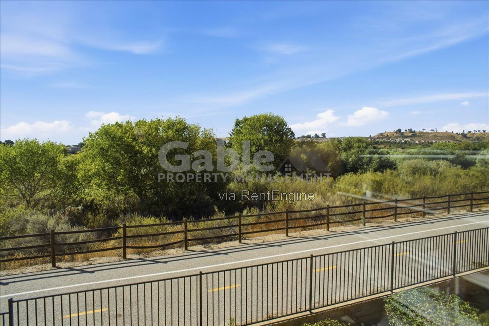 Gallery Image 13