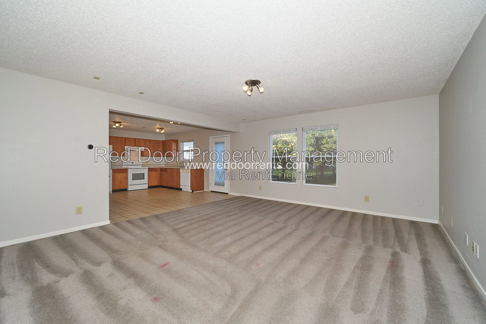 Gallery Image 19