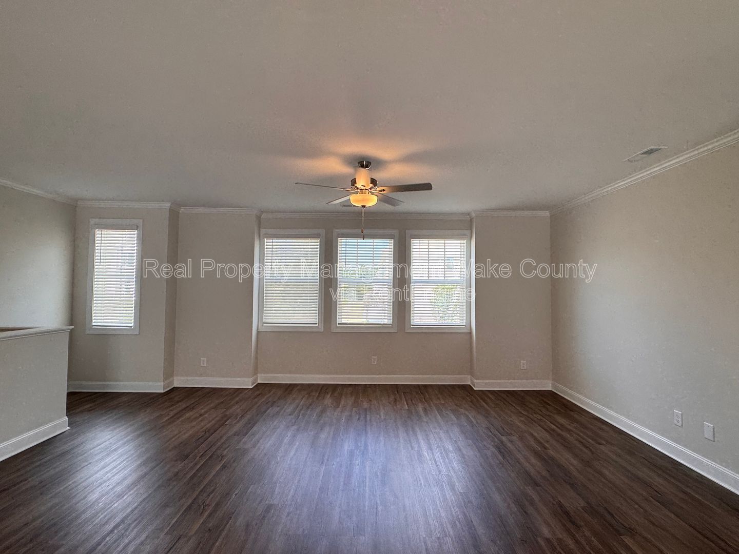 Gallery Image 19