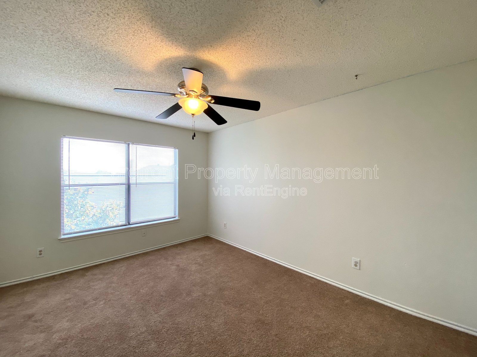 Gallery Image 55