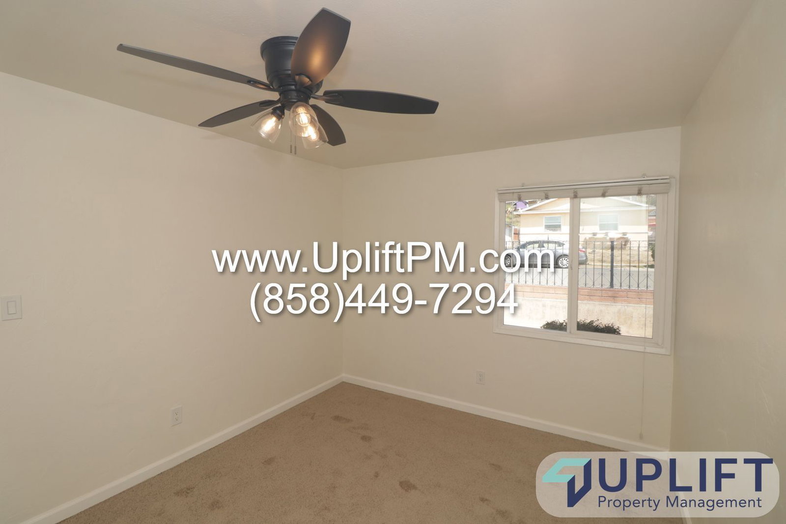 Gallery Image 7