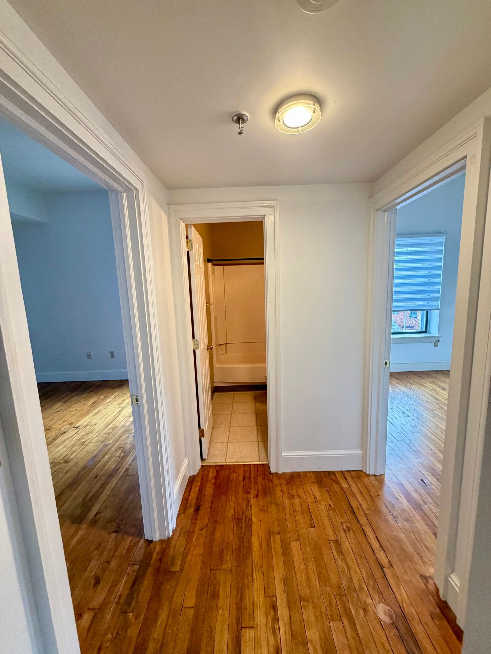 Gallery Image 18
