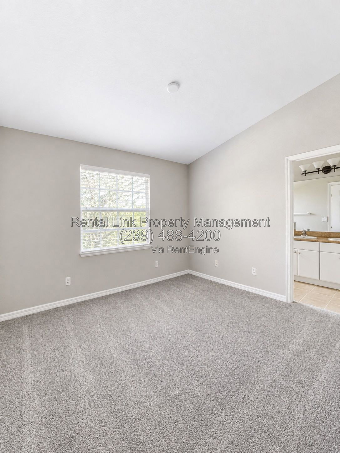 Gallery Image 19
