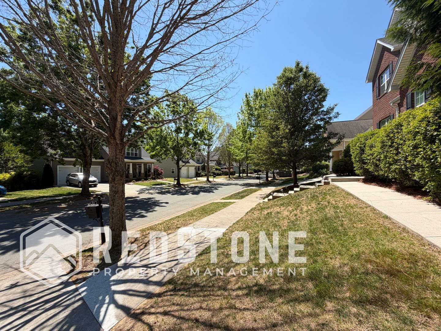 Gallery Image 49