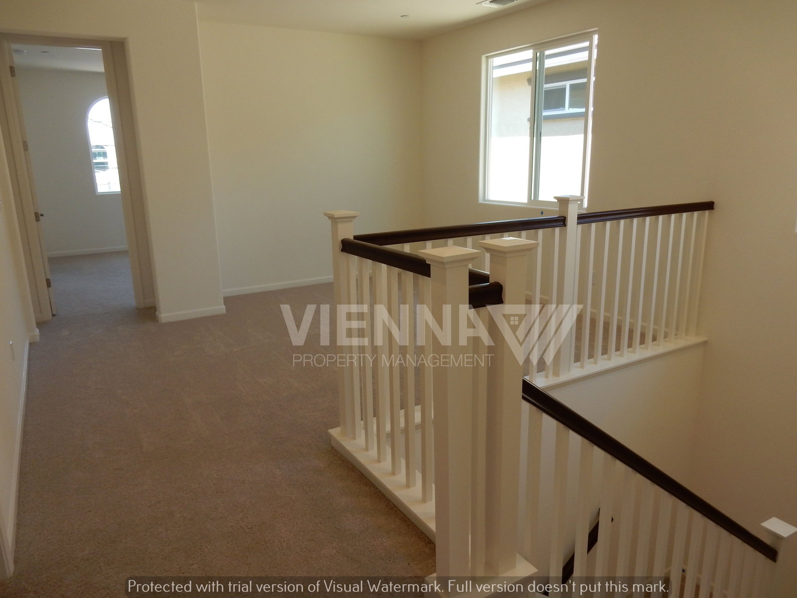 Gallery Image 19