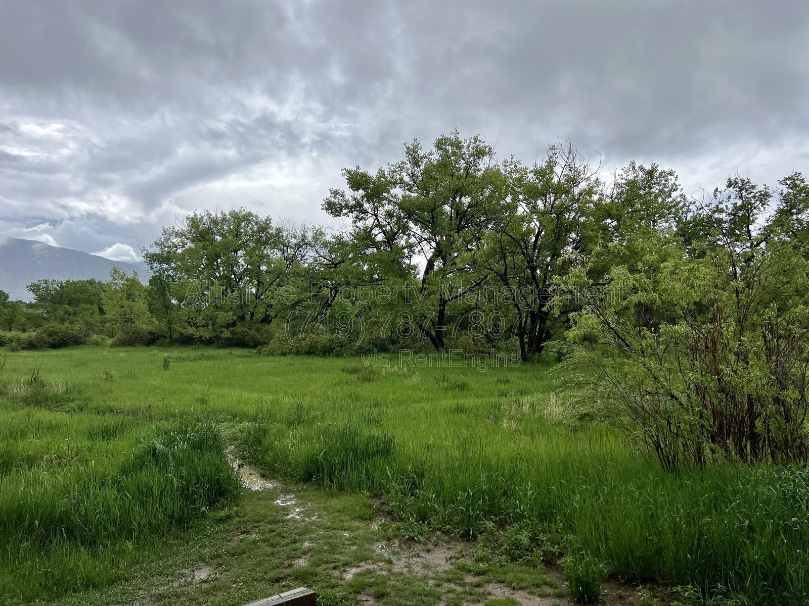 Gallery Image 35