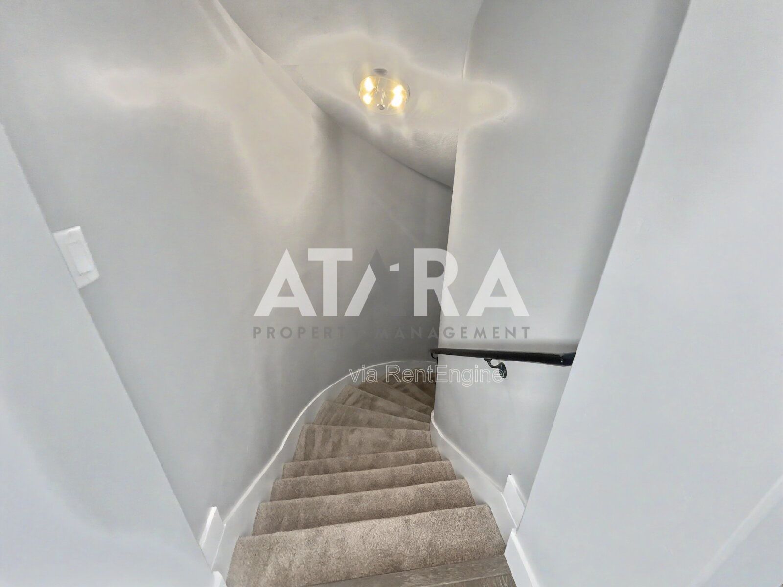 Gallery Image 49