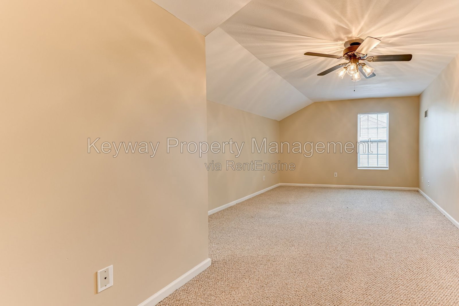 Gallery Image 25
