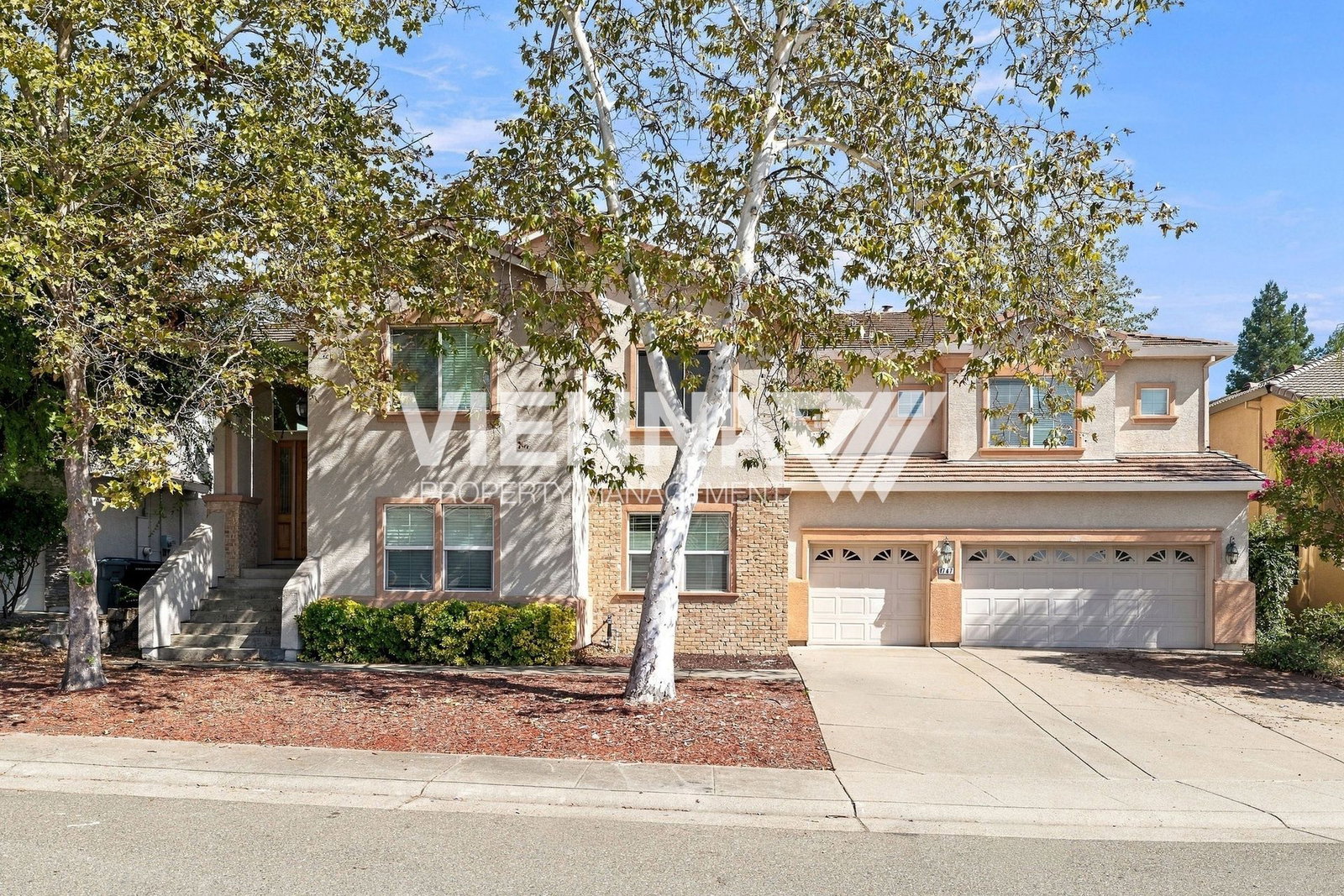 Gallery Image 0
