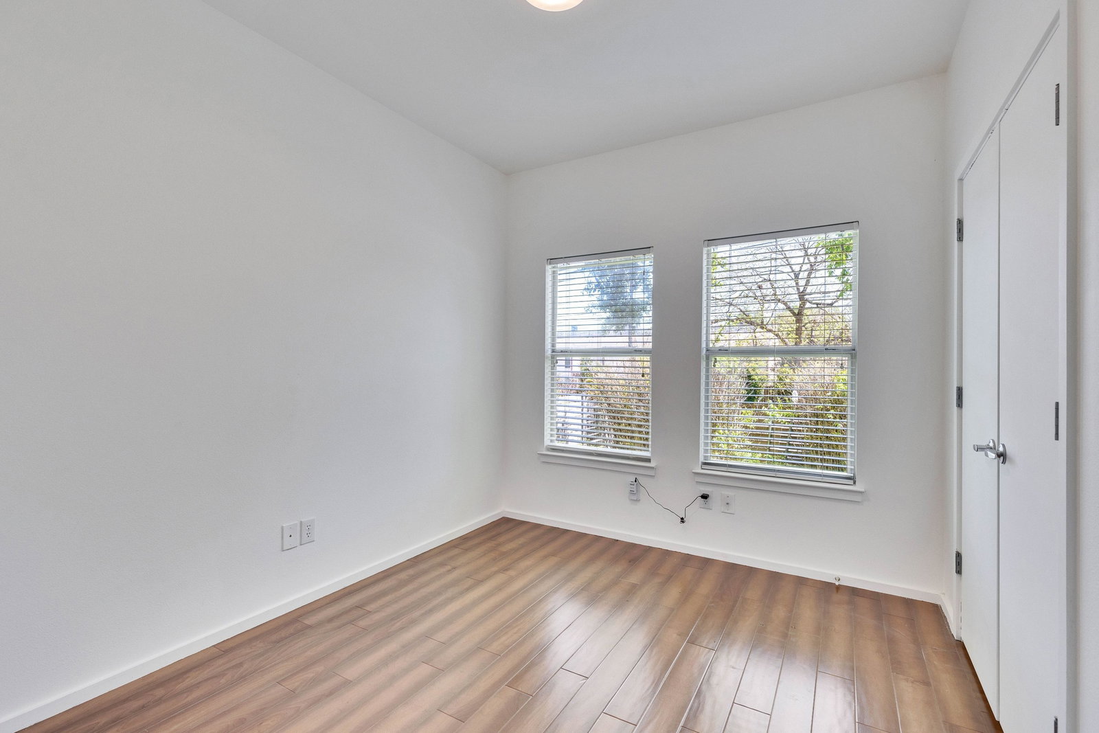Gallery Image 19