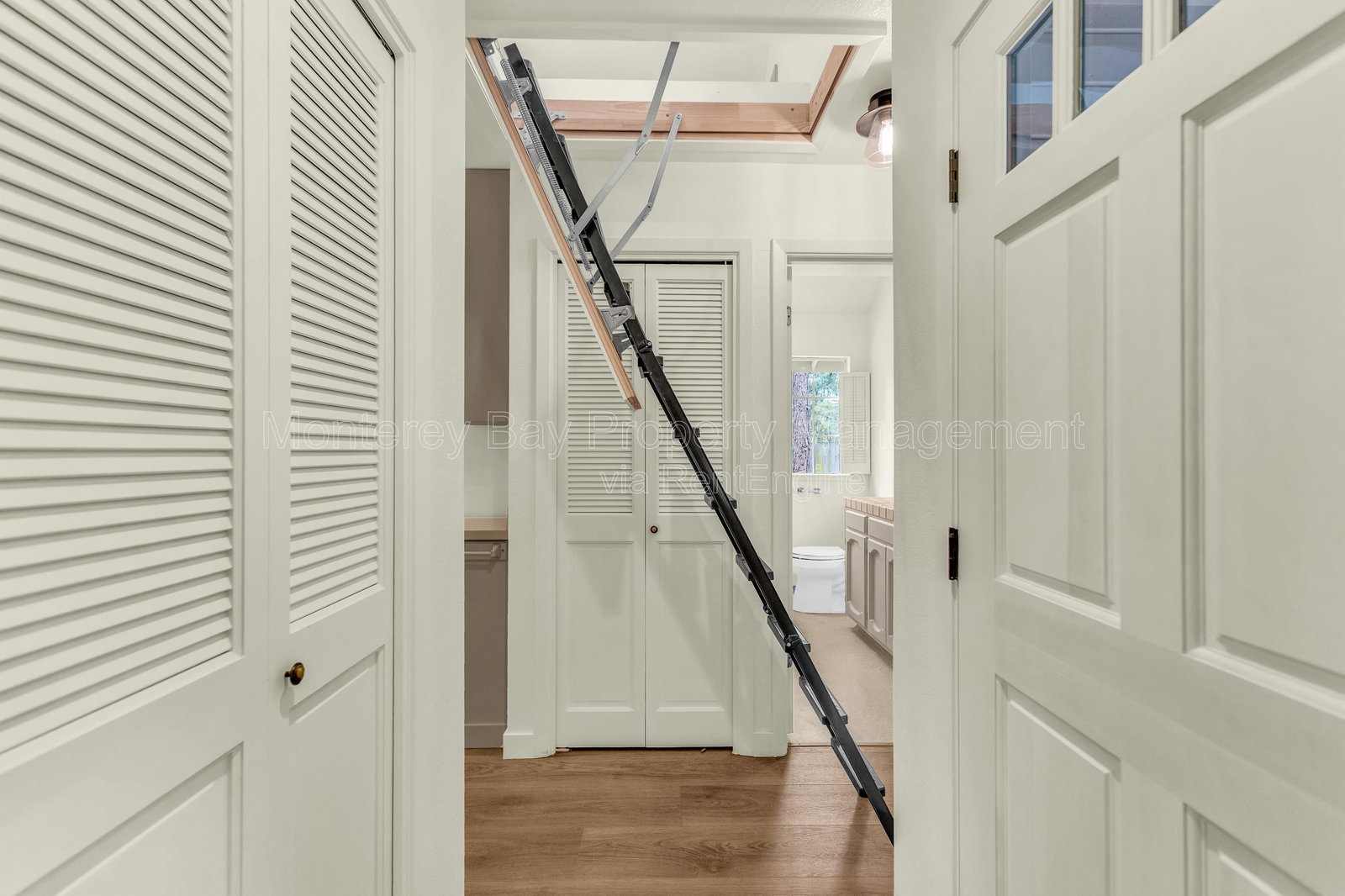Gallery Image 14