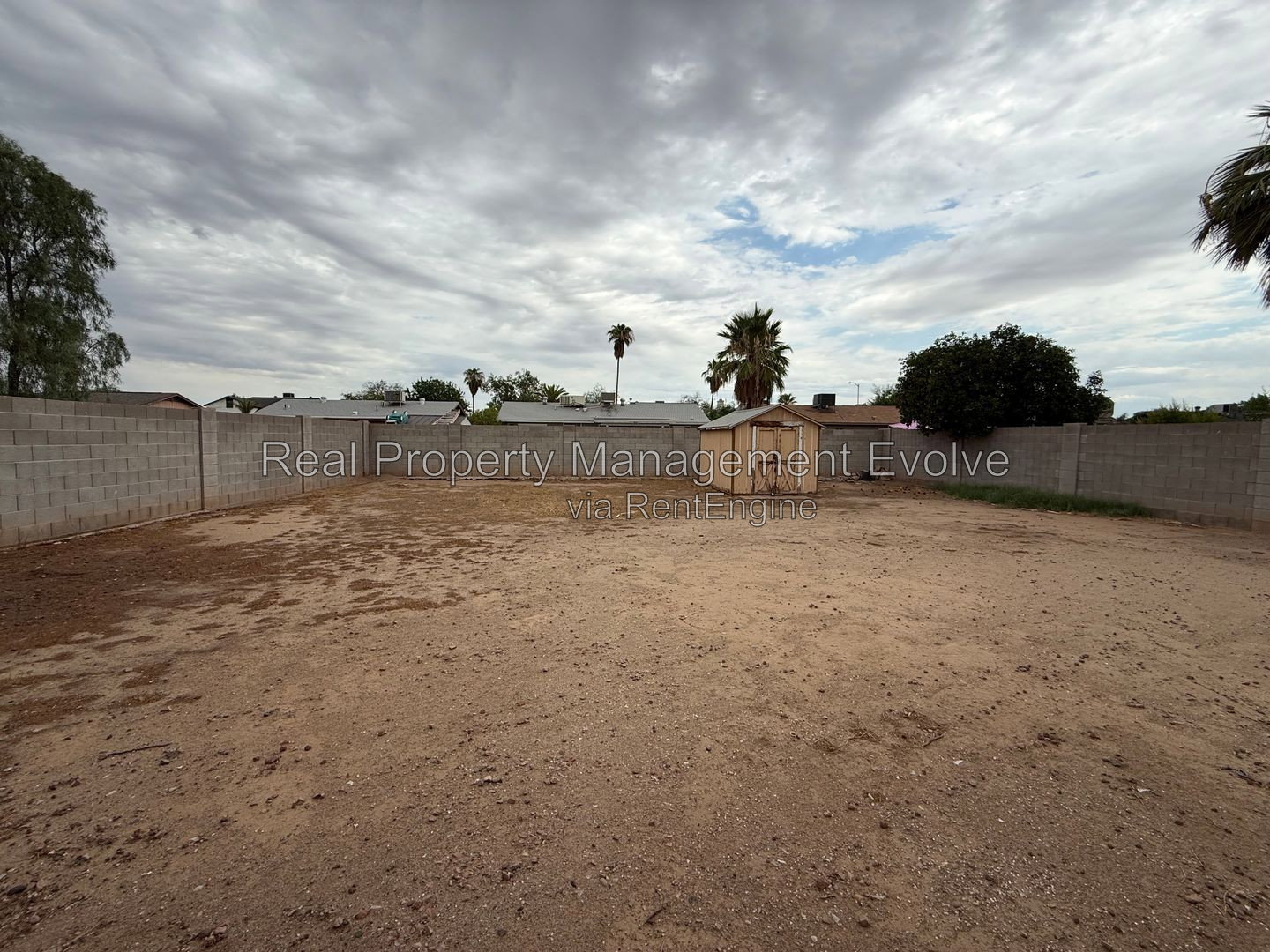 Gallery Image 16