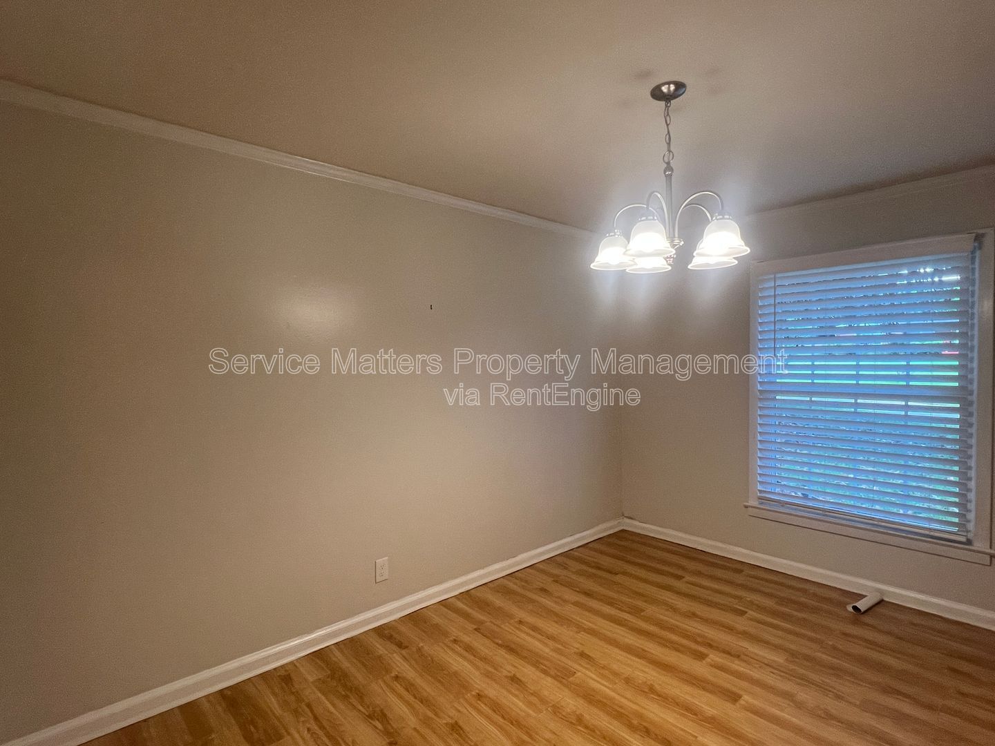 Gallery Image 8