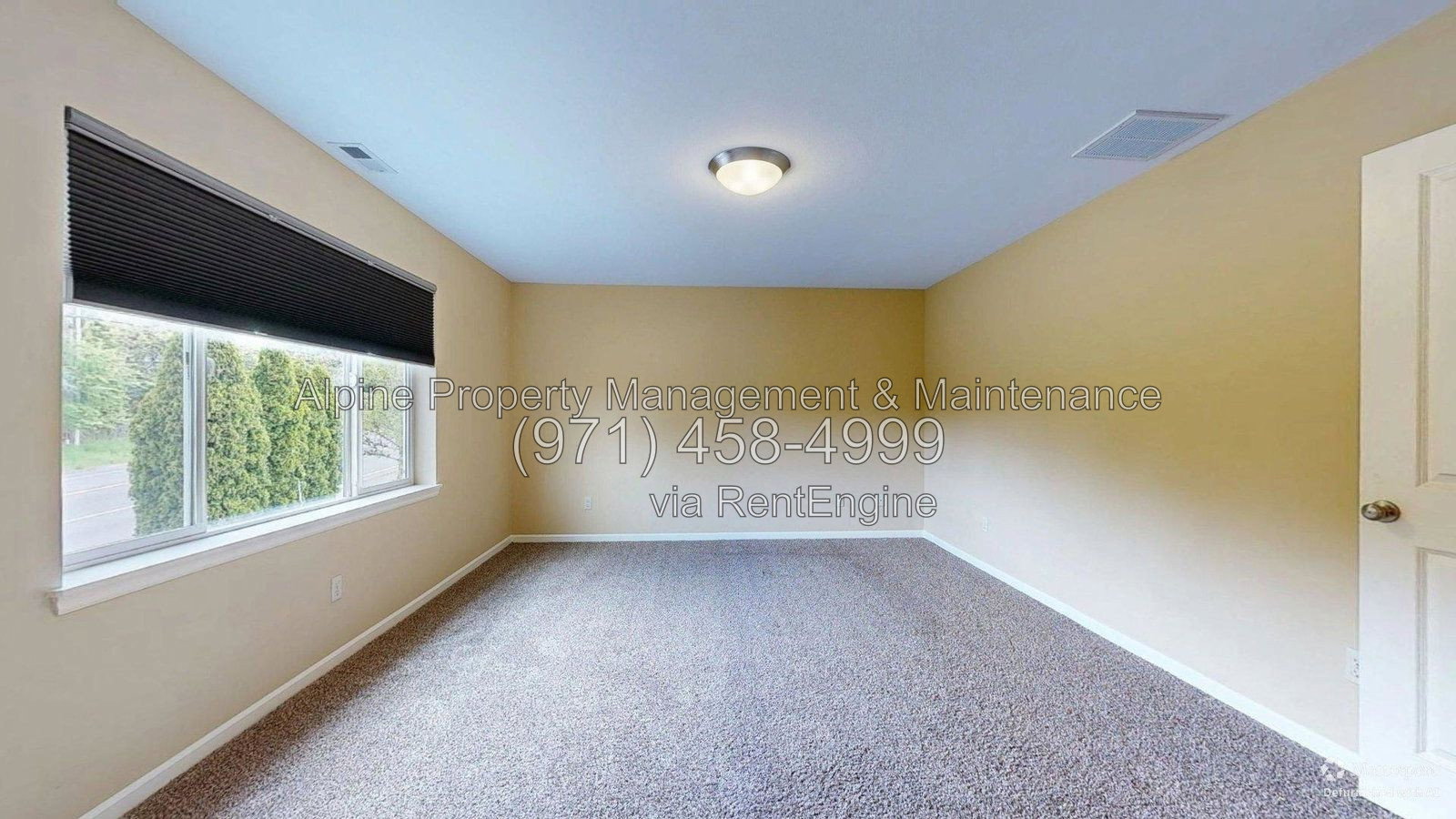 Gallery Image 58