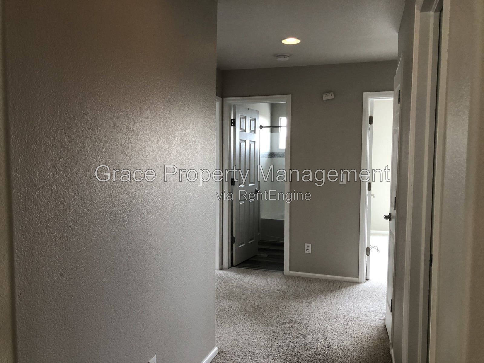 Gallery Image 19