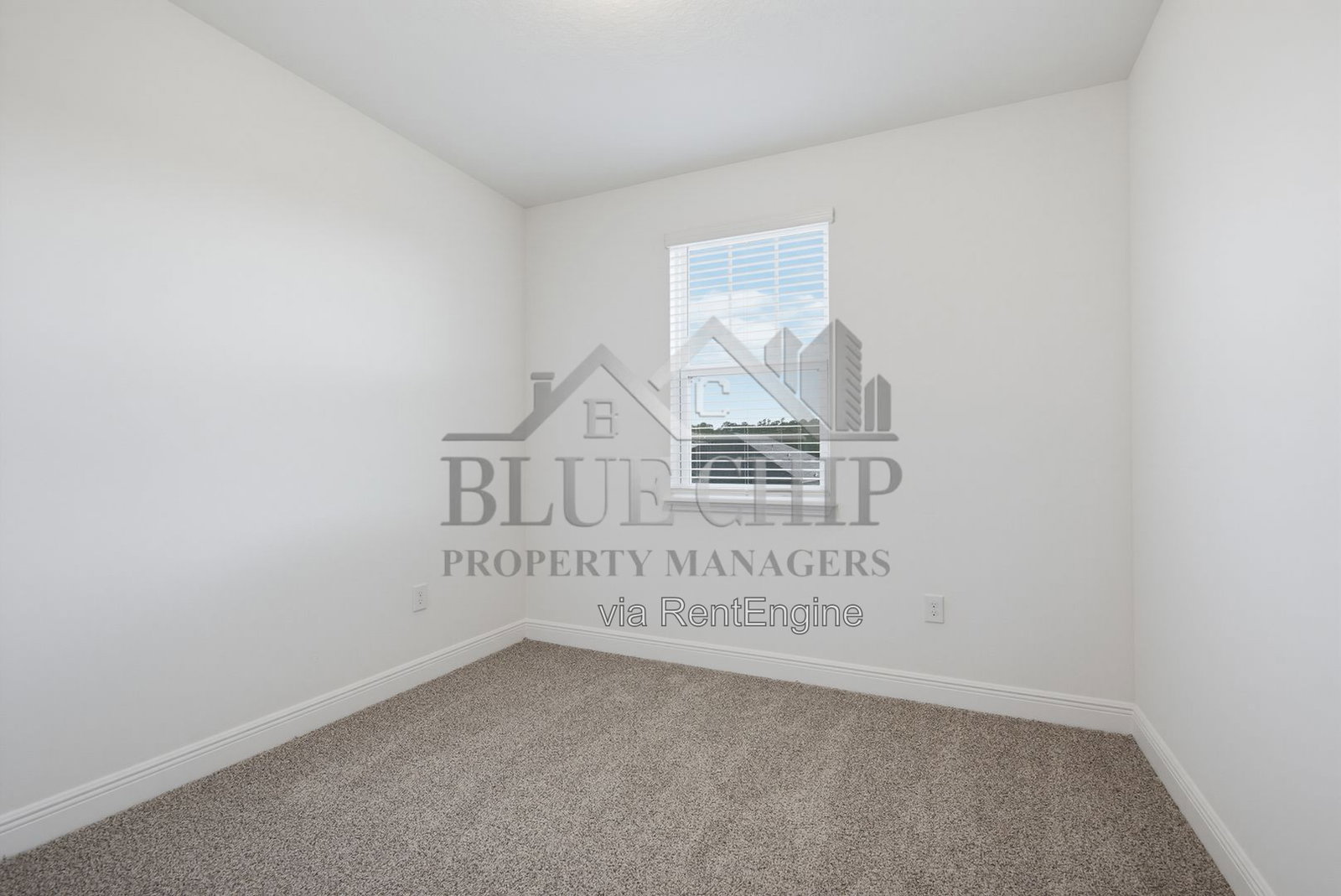 Gallery Image 53