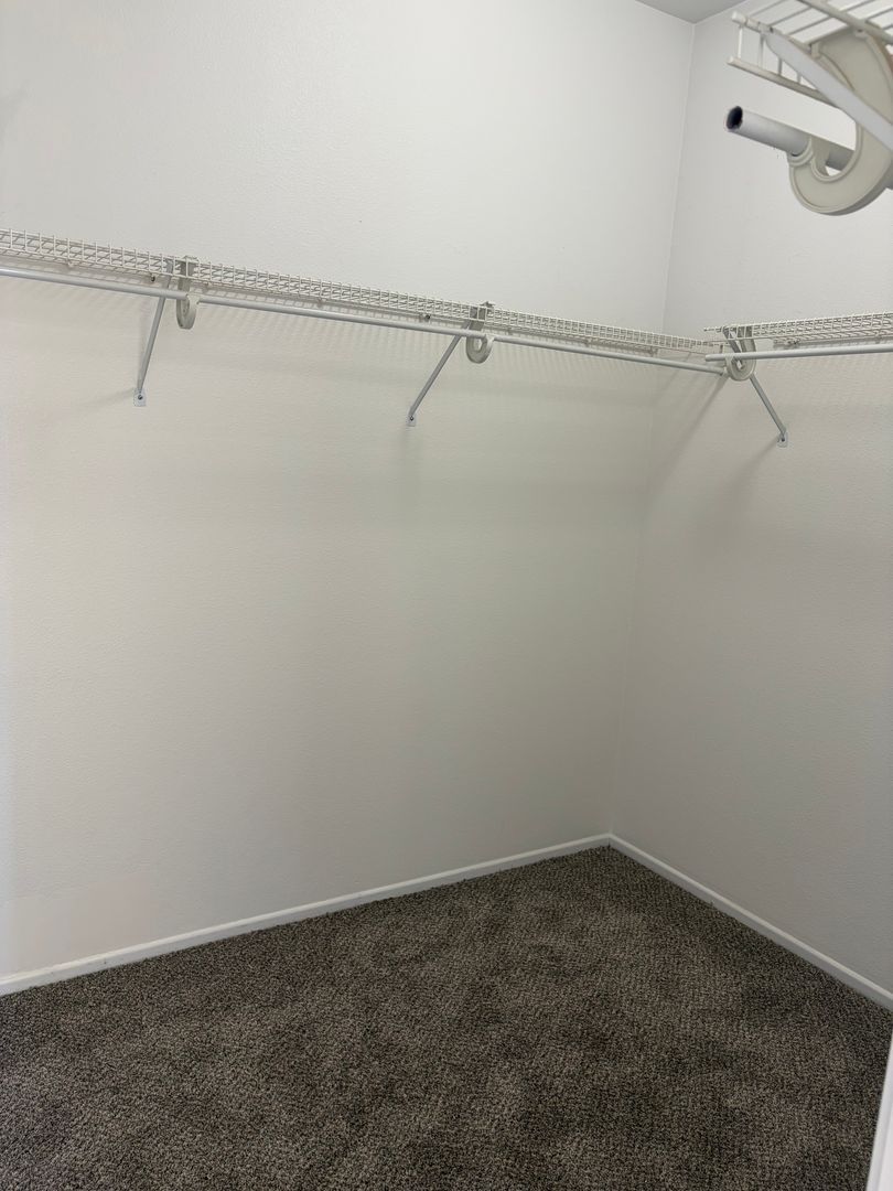 Gallery Image 19