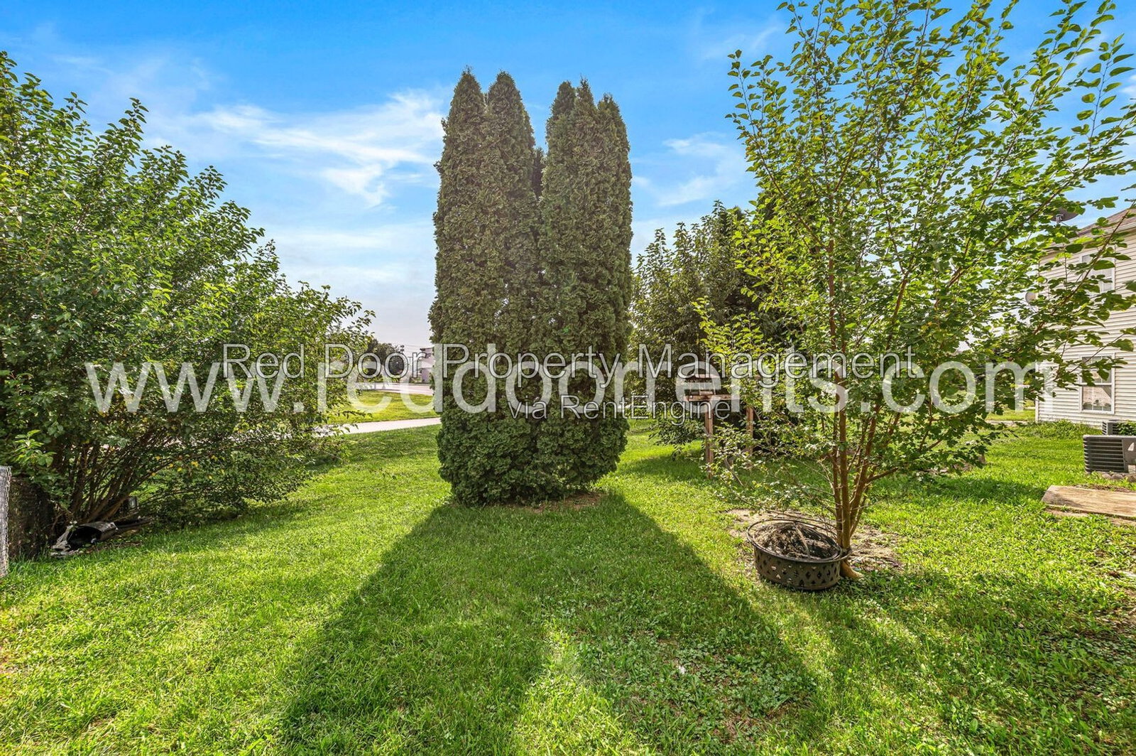 Gallery Image 31