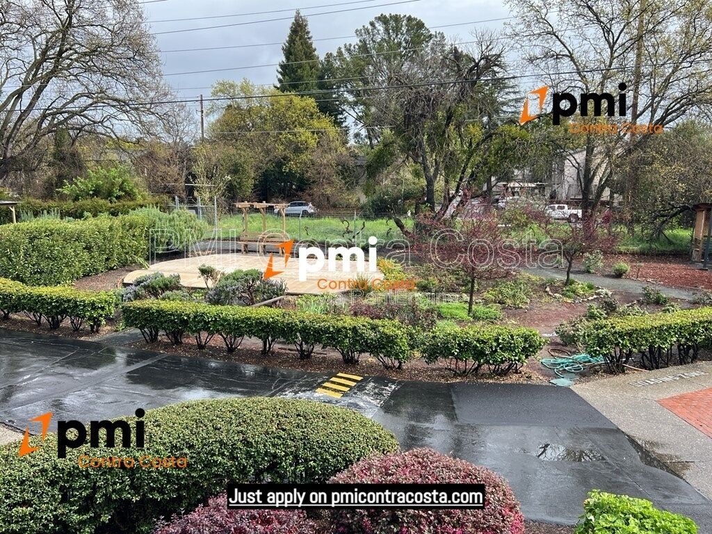 Gallery Image 26