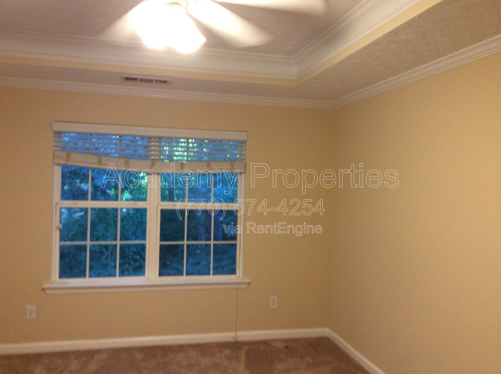 Gallery Image 16