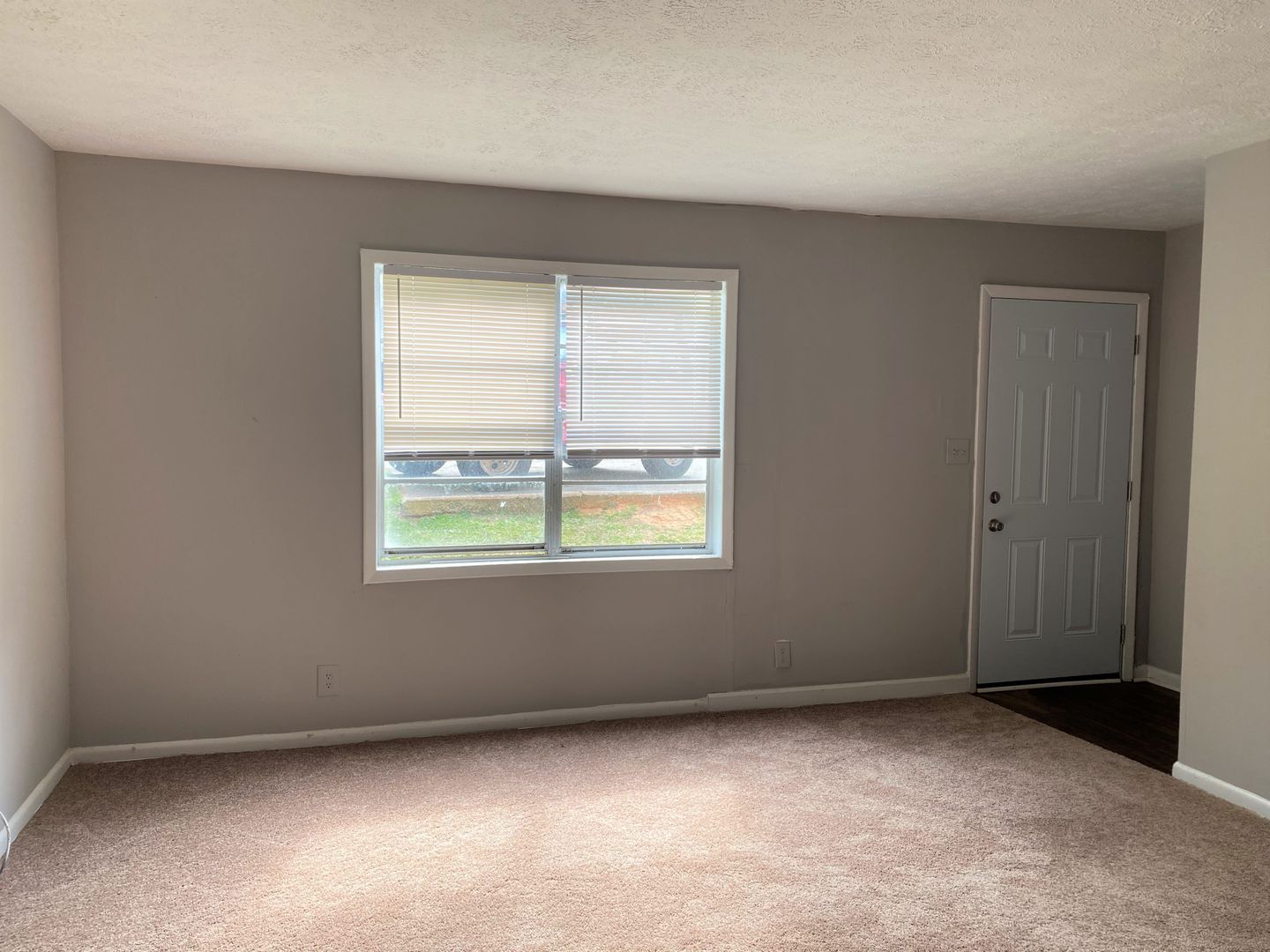 Gallery Image 0