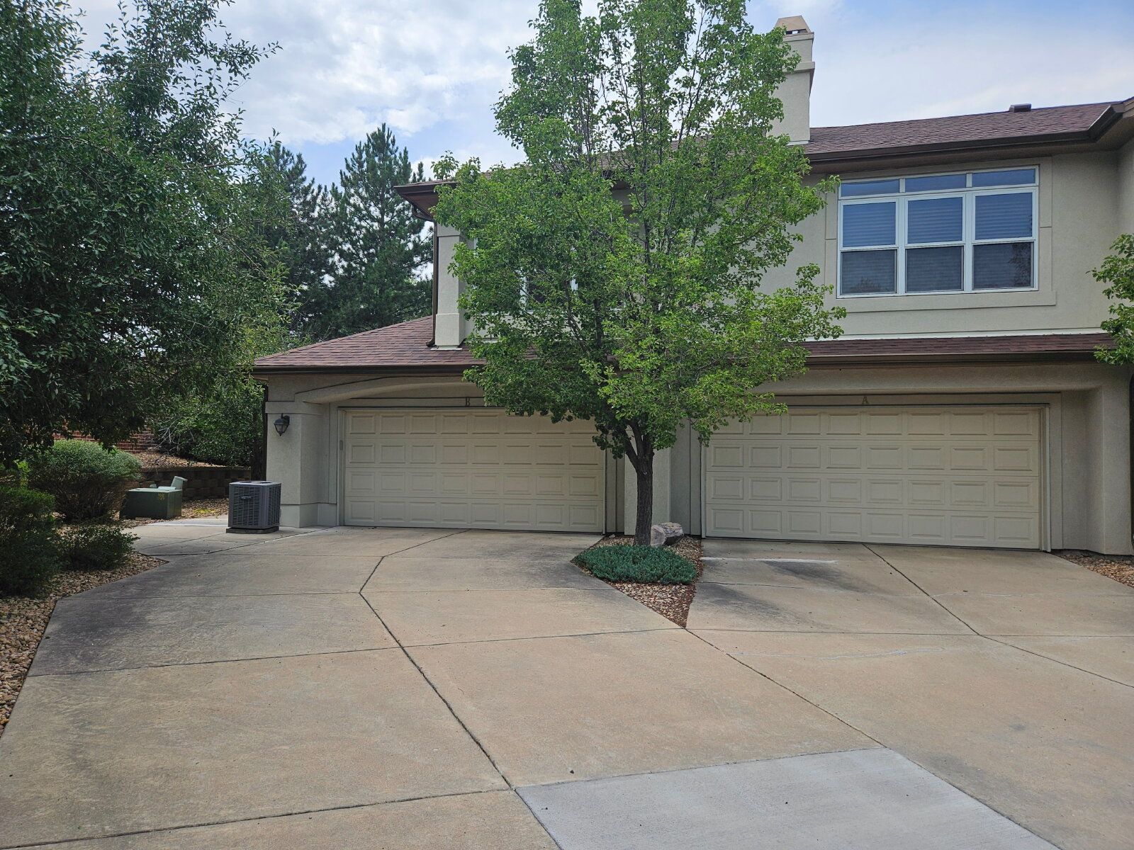 Gallery Image 0