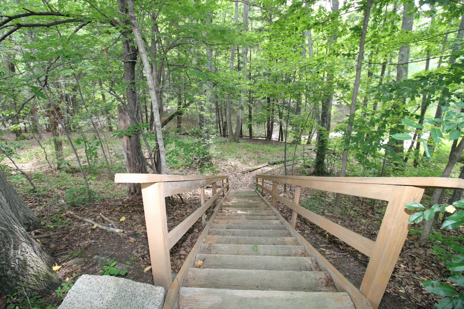 Gallery Image 18